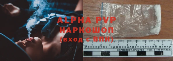 винт Алексин