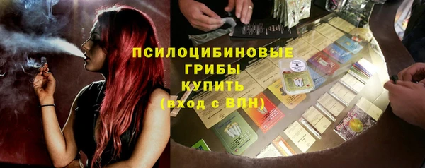 a pvp Алзамай