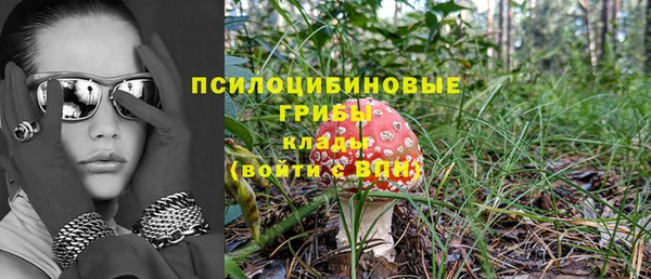 МДПВ Абдулино