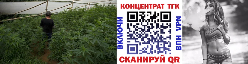 ТГК вейп  Тогучин 